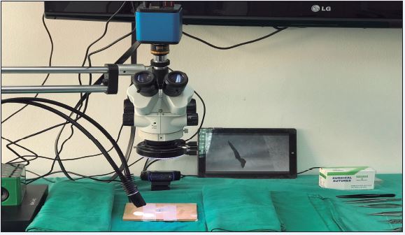 Microscopio trinocular con magnificación hasta 22.5 X, instrumental microquirúrgico, cámara Amscope® conectada al microscopio, cámara web para grabar el movimiento de las manos y tableta con sistema operativo Windows.