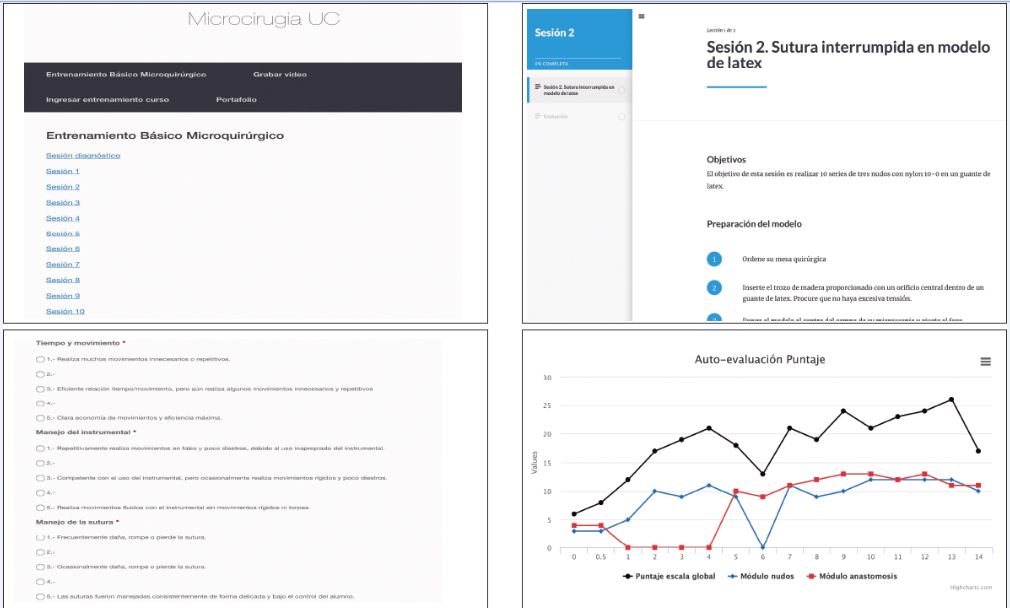 Plataforma en línea. A. Menú de ejercicios para cada sesión. B. Instrucciones de la sesión de entrenamiento. C. Formularios de autoevaluación. D. Portafolio con la curva de aprendizaje generada por la plataforma basada en las autoevaluaciones.