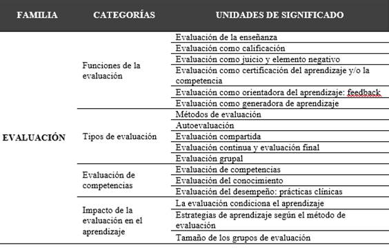 Matriz final de categor&iacute;as y unidades de significado de la familia &ldquo;Evaluaci&oacute;n&rdquo;