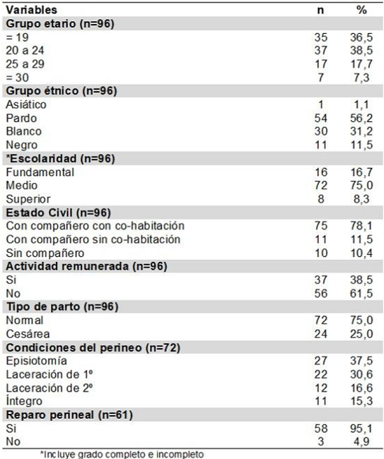 Distribuci&oacute;n de las mujeres seg&uacute;n caracter&iacute;sticas sociodemogr&aacute;ficas, tipo de parto y condiciones del perineo despu&eacute;s del parto normal. Itapecerica da Serra- 2014-2015
