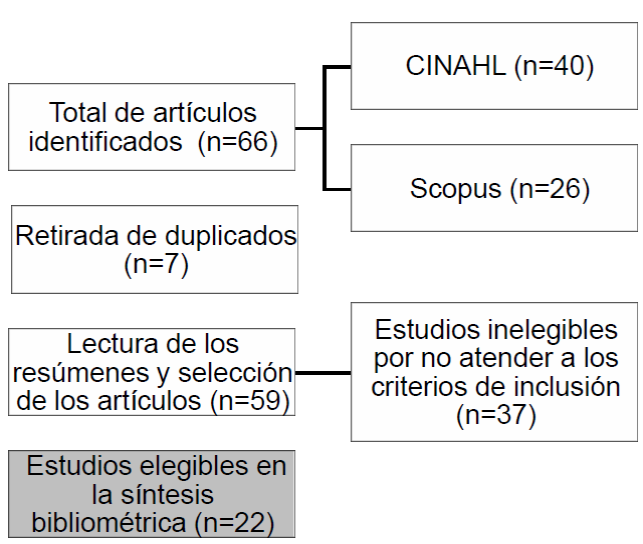 Diagrama de flujo del proceso de selecci&oacute;n de las producciones cient&iacute;ficas en el &aacute;rea de enfermer&iacute;a. Jo&atilde;o Pessoa, PB, Brasil, 2017.