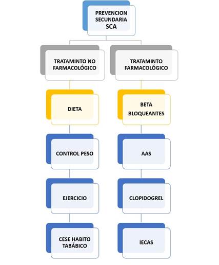 Estrategias actuales de la prevenci&oacute;n secundaria del SCA