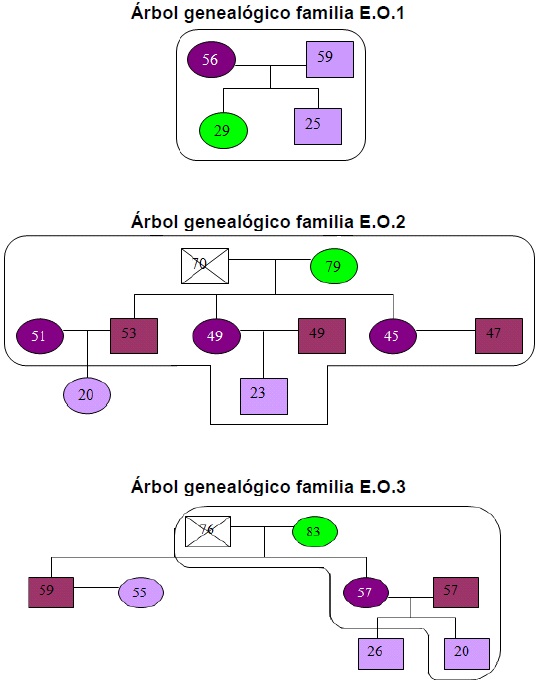 &Aacute;rbol geneal&oacute;gico