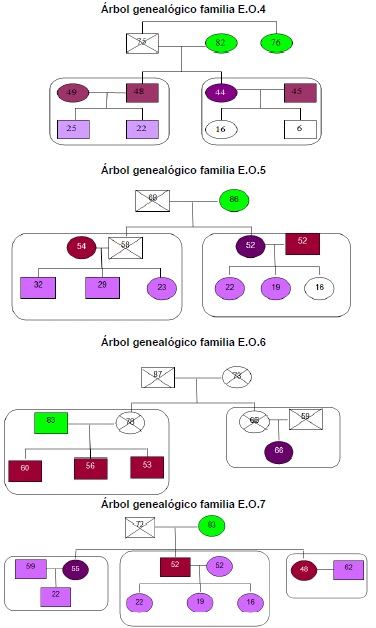 &Aacute;rbol geneal&oacute;gico