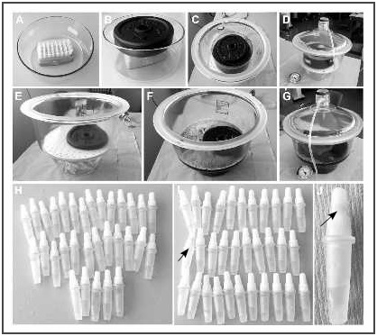Tightness test. A, Single-dose vials in the rack in the vacuum chamber. B, Vials weighted down to prevent floating. C, Rack submerged in a toluidine blue solution. D, Sealing the vacuum chamber to apply vacuum. E, Single-dose vials without the rack. F, Submersed single-dose vials without the rack in toluidine blue solution with weight. G, Sealing and applying pressure. H, Detail of single-dose vials after the tightness test of the first rack. I, Detail of single-dose vials after the tightness test of the second rack. J, Detail of the cap with blue colouration.