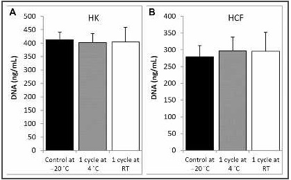 Ocular surface cell proliferation assay. A, Proliferation of HK cells. B, Proliferation of HCF. Response to PRGF-Endoret&reg; eye drops at -20 &deg;C (control at -20 &deg;C), thawed at 4 &deg;C (one cycle at 4 &deg;C), and thawed at RT (one cycle at RT). HK: human keratocytes; DNA: deoxyribonucleic acid; HCF: human conjunctival fibroblasts; RT, room temperature.