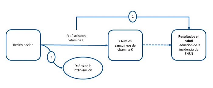 Marco analítico para la formulación de las preguntas. Adaptado del USPSTF con autorización