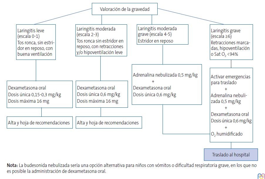 Algoritmo para valorar la gravedad de la laringitis