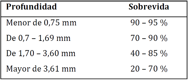 &Iacute;ndice de Breslow