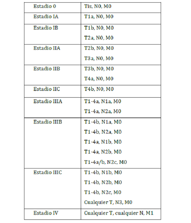 Agrupaci&oacute;n por estadios seg&uacute;n el AJCC