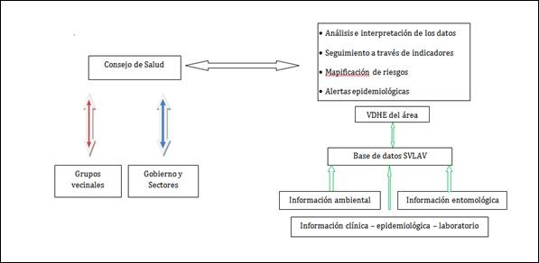 Flujo de la informaci&oacute;n hacia el Consejo de Salud