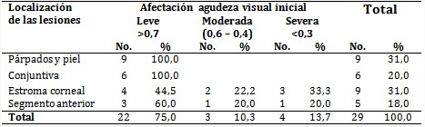 Localizaci&oacute;n de las lesiones oculares en relaci&oacute;n con la agudeza visual