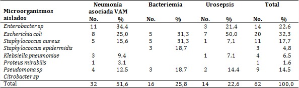 Pacientes según microorganismos aislados y localización más frecuente