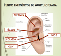 Puntos energ&eacute;ticos de la auriculoterapia