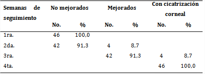 Pacientes con queratitis punteada superficial del grupo B seg&uacute;n cicatrizaci&oacute;n corneal