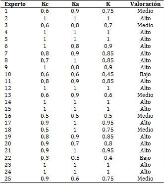 Autovaloración y selección de expertos para la validación de los instrumentos