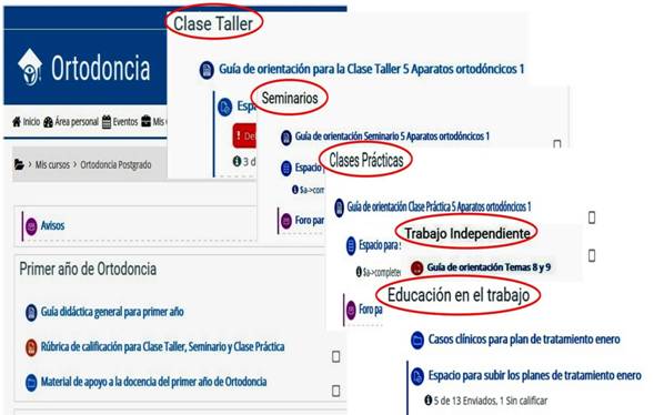 Visualización de las FOE para el primer año de la especialidad de ortodoncia