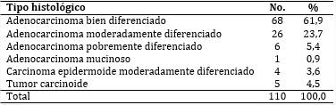 Pacientes seg&uacute;n diagn&oacute;stico histol&oacute;gico