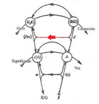 Corto-circuito del fantasma