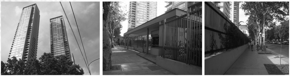 Figura 12
