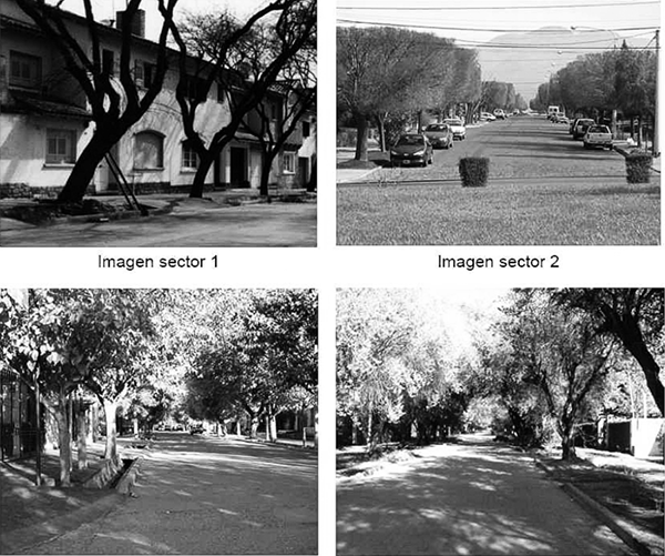 6: Detalle de las v&iacute;as  de circulaci&oacute;n de los sectores 1 a 4
