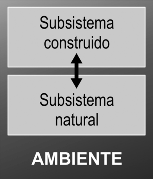 Figura 1