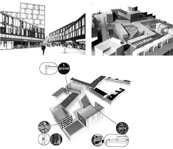Figura 11