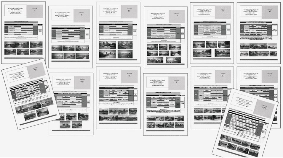 Figura 7. Fichas diagnósticas de sectores