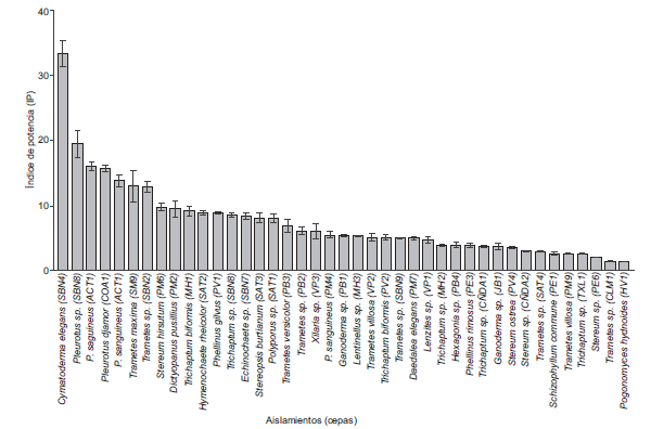 &Iacute;ndice de potencia de la actividad cualitativa de lacasa en macromicetos lign&iacute;colas nativos del estado de Veracruz,M&eacute;xico (media &plusmn; error est&aacute;ndar, n = 4).