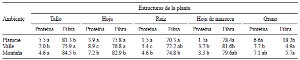 PORCENTAJE DE PROTE&Iacute;NA Y FIBRA DE CADA ESTRUCTURA EN PLANTAS DE MA&Iacute;Z NATIVO PRODUCIDO EN DIFERENTES AMBIENTES