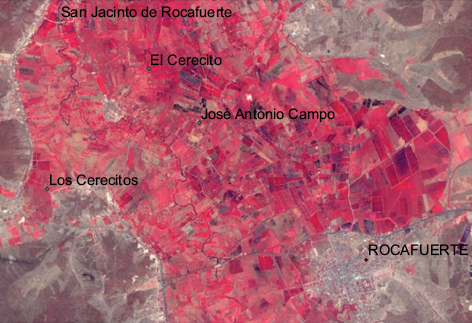 Imagen RapidEye de noviembre de 2009 en falso color (5, 3, 2). Se observa un mosaico agropecuario en las proximidades de Rocafuerte, evidenciando la presión del uso agrícola del suelo sobre las márgenes del río, donde se ha eliminado completamente el bosque ribereño.
