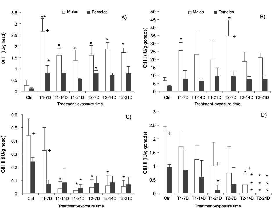 Content of gonadotropins I (GtH I) and II (GtH II) in the head and gonads of Girardinichthys viviparus exposed under controlled conditions to mixture of metals (T1) and mixture of metals spiked with 25 ng/L of ethynil estradiol (T2).7D = 7 days, 14D = 14 days and 21D = 21 days. A) content of GtH I in the head, B) content of GtH I in gonads, C) contentof GtH II in head and D) content GtH II in gonads. Bars represent the mean and standard deviation of data set. Asterisks denote significance difference regarding to their corresponding control group (sex) * p < 0.05, ** p < 0.01 and ***p < 0.001; + denote significance difference at p < 0.05 between sexes in the same treatment