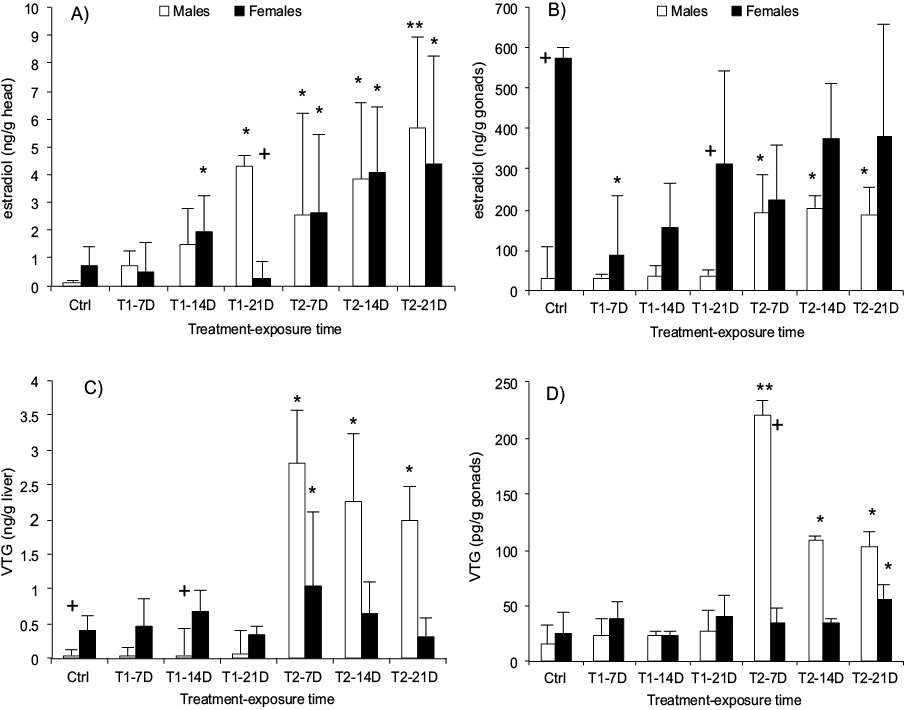 Content of estradiol (E2) in the head and gonads and vitellogenin (VTG) in the liver and gonads of Girardinichthys viviparus exposed under controlled conditions to mixture of metals (T1) and mixture of metals spiked with 25 ng/L of ethynil estradiol (T2). 7D = 7 days, 14D = 14 days and 21D = 21 days. A) content of E2 in the head, B)content of E2 in the gonads, C) content of VTG in the liver, D) content of VTG in the gonads. Bars represent themean and standard deviation of data set. Asterisks denote significance difference regarding to their corresponding control group (sex) * p < 0.05, ** p < 0.01 and *** p < 0.001; + denote significance difference at p < 0.05 between sex in the same treatment