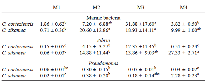 MEAN (± SD) BACTERIAL CONCENTRATIONS (IN 103 CFU/mL) OF Crassostrea corteziensis AND C. sikamea DETERMINED ON THE FOUR SAMPLING DATES M1 TO M4 IN COSPITA BAY