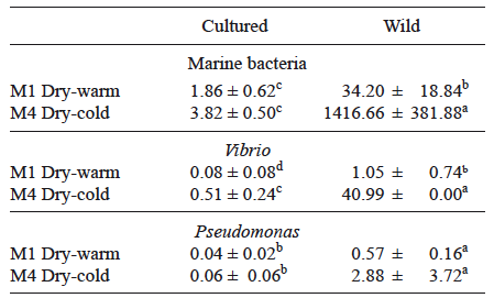 MEAN (± SD) BACTERIAL CONCENTRATIONS (103 CFU/g) OF CULTURED AND WILD Crassostrea corteziensis OF COSPITA BAY IN THE SAMPLES OF THE DRY SEASON M1 (WARM) AND M4 (COLD)