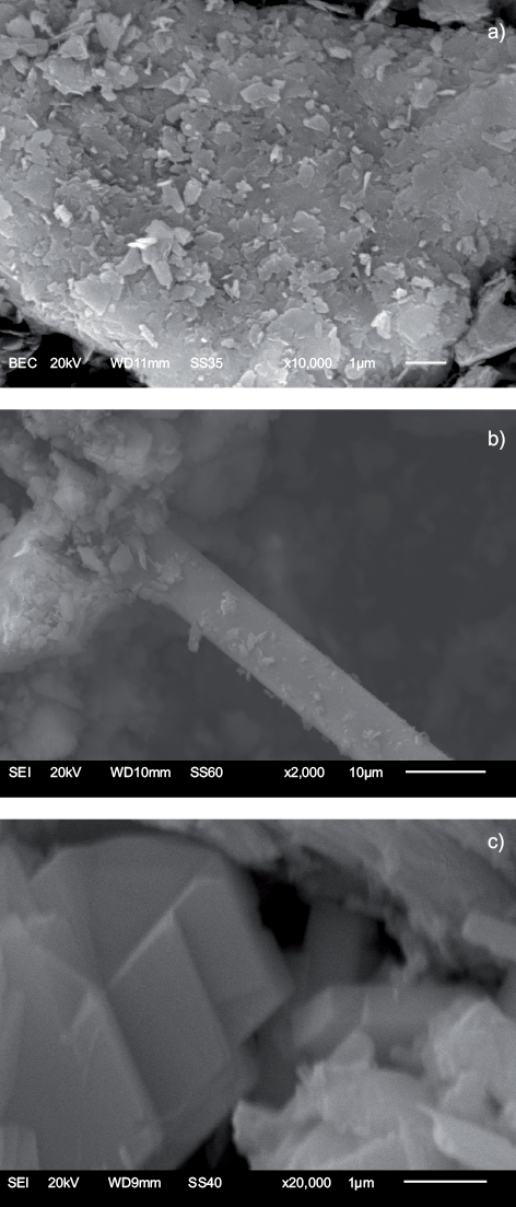 Micrograf�as de las zeolitas: (a) N, (b) Z1 y (c) Z2