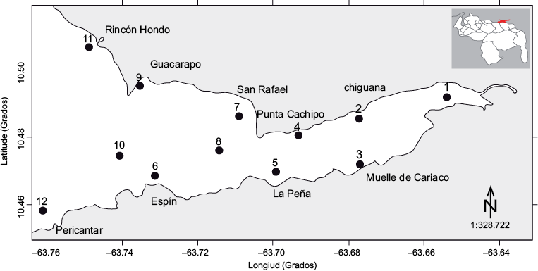 Ubicaci&oacute;n geogr&aacute;fica del saco del golfo de Cariaco y estaciones de muestreo