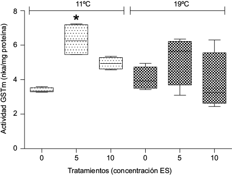 Actividad de glutation-S-transferasa microsomal (GSTm) (nkat/mg proteína) en Myriophyllum quitense expuesta a distintas temperaturas. Cajas y bigotes: media ± error estándar de la media. *Indica diferencias significativas respecto del control (tratamiento correspondiente a 0 mg/L ES) (prueba de Tukey) (p < 0.05). N = 5