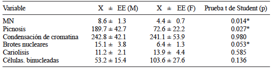 COMPARACIÓN DEL ÍNDICE DE FRECUENCIAS (IF) DE LAS ANORMALIDADES NUCLEARES ENTRE INDIVIDUOS EXPUESTOS A PLAGUICIDAS DE GÉNERO MASCULINO (M, n = 12) Y FEMENINO (F, n = 8) QUE LABORAN EN INVERNADEROS CON BAJA TECNOLOGÍA