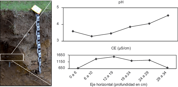 Valores de pH y CE en el eje horizontal del perfil