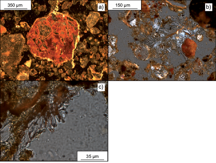 Evidencias de afectación del suelo por el vertido minero. (a) Precipitados de compuestos de hierro sobre un fragmento de roca del suelo. (b) Yeso acicular con crecimiento intraporos asociado a precipitados de hierro y material de grano fino. (c) Crecimiento de finos cristales de yeso en la periferia de un fragmento de roca