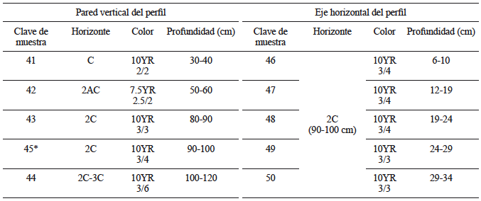 MUESTRAS SIMPLES RECOLECTADAS DEL PERFIL DE SUELO TIIZ1B