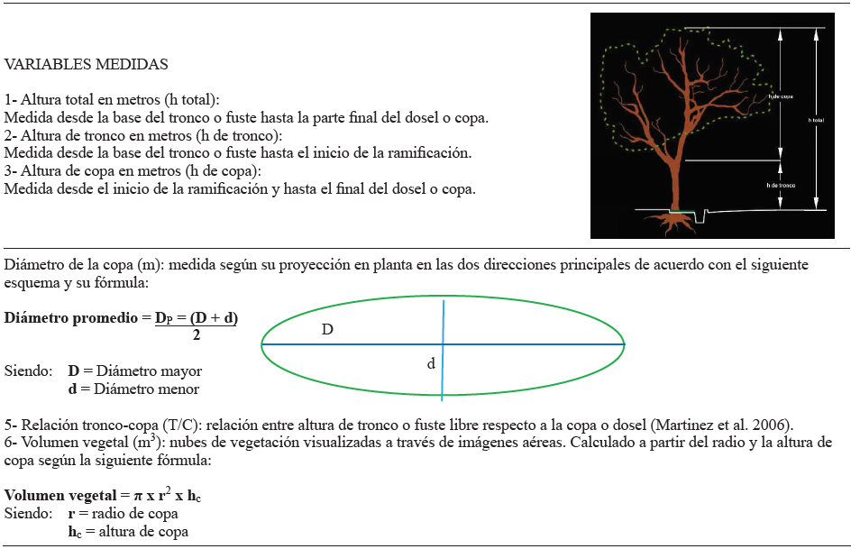 CARACTERIZACI&Oacute;N VEGETAL. VARIABLES DASON&Oacute;MICAS