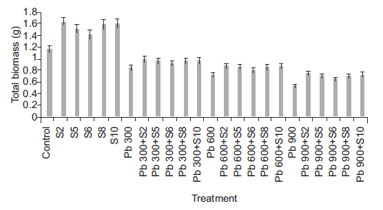 Effect of lead tolerant plant growth promoting rhizobacteria on total biomass of sunflower plants exposed to lead
