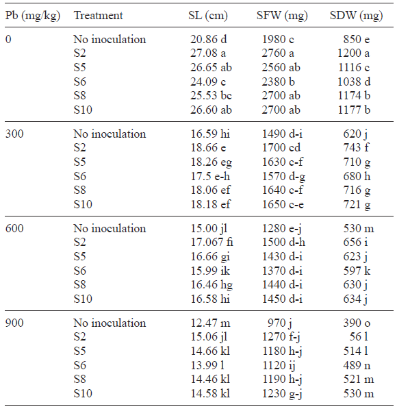 EFFECT OF LEAD TOLERANT PGPR ON SHOOT ATTRIBUTES (LENGTH, FRESH WEIGHT, AND DRY WEIGHT) OF SUNFLOWER PLANTS EXPOSED TO LEAD