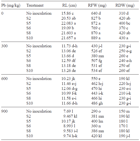 EFFECT OF LEAD TOLERANT PGPR ON ROOT ATTRIBUTES (ROOT LENGTH, ROOT FRESH WEIGHT AND ROOT DRY WEIGHT) OF SUNFLOWER PLANTS EXPOSED TO LEAD