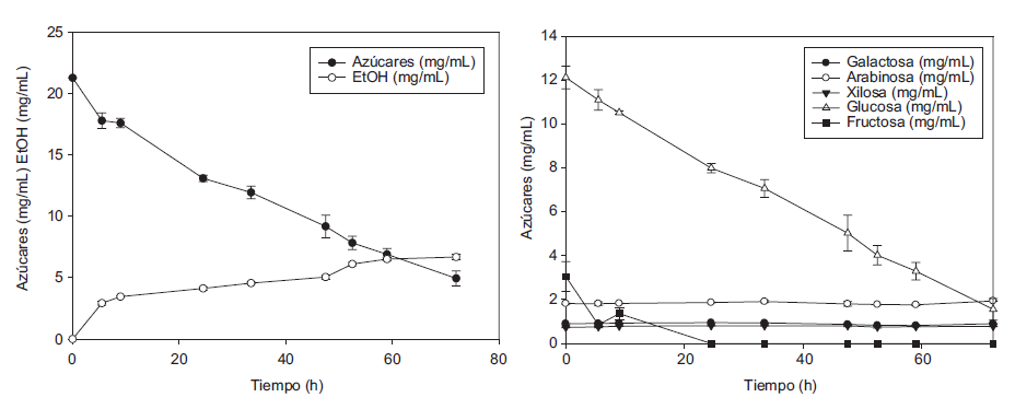 (a) Producci&oacute;n de etanol a partir de los az&uacute;cares obtenidos en el PTH con &aacute;cido diluido y con el tratamiento enzim&aacute;tico al residuo s&oacute;lido. (b) Consumo de los az&uacute;cares durante la fermentaci&oacute;n alcoh&oacute;lica