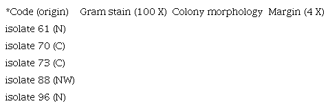 MICROBIOLOGICAL CHARACTERIZATION OF ISOLATES