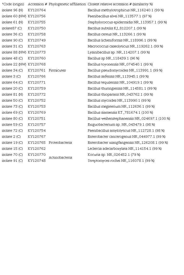 PHYLOGENETIC AFFILIATION OF MICROBIAL ISOLATES