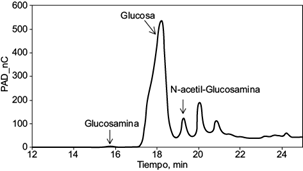 Perfil cromatográfico correspondiente al hidrolizado del quitosán
								de Aspergillus niger